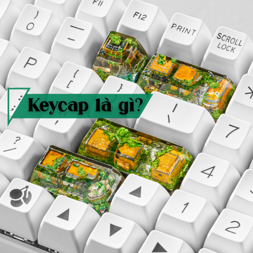 Keycap là gì? Khám phá thế giới phím bấm dành cho người mê gõ!